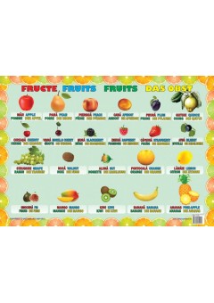 Fructe  (plansa 50 x 70)..